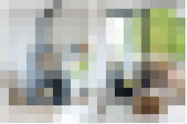 Splinterlaan 38 Leiderdorp thumbnail 6