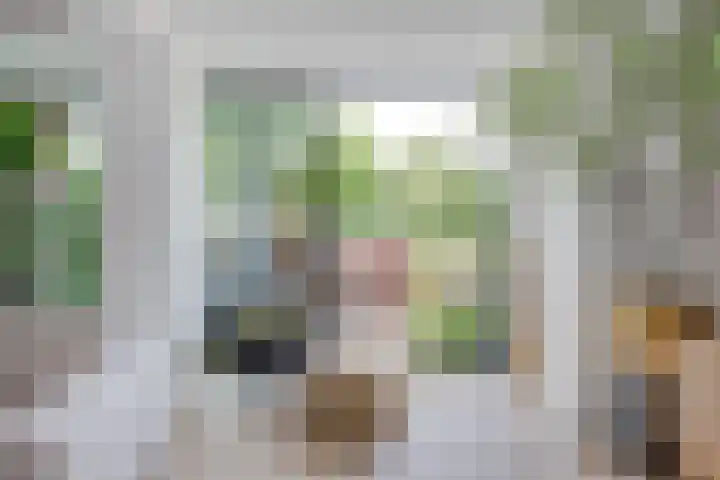 Splinterlaan 38 Leiderdorp thumbnail 7