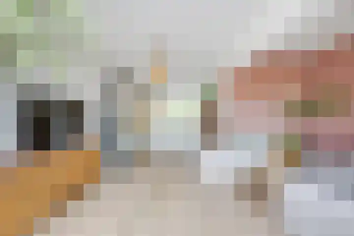 Splinterlaan 38 Leiderdorp thumbnail 8