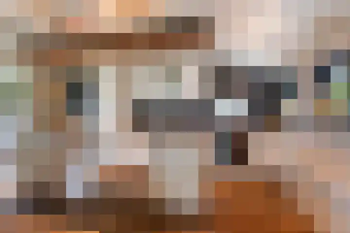 Spoarstrjitte 2 De Westereen thumbnail 10