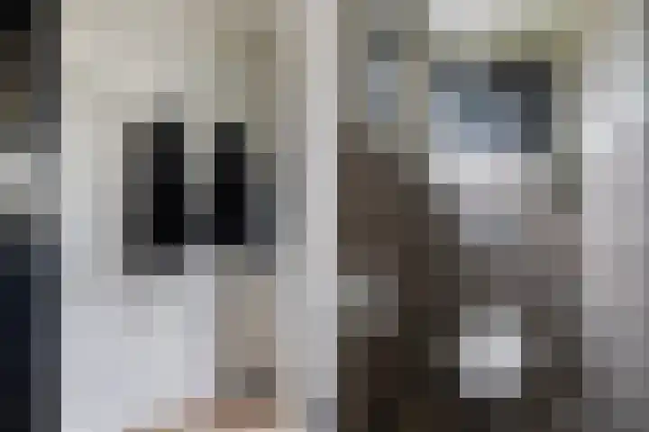 Spoarstrjitte 2 De Westereen thumbnail 7