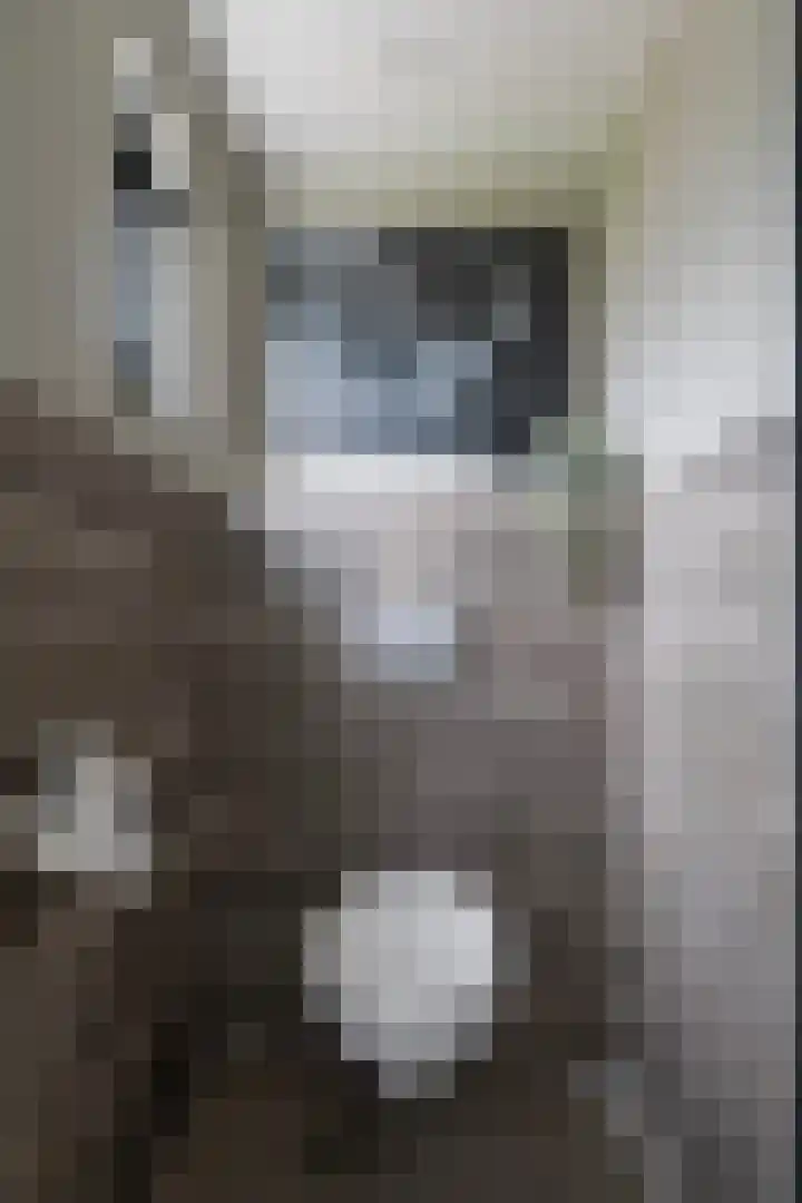 Spoarstrjitte 2 De Westereen thumbnail 8
