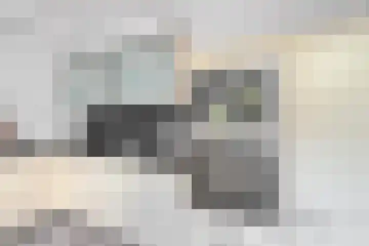 Spoeleind 14 Best thumbnail 12