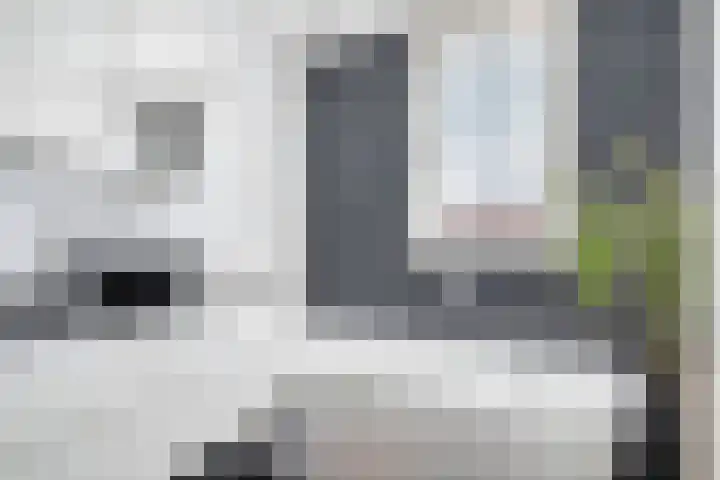 Spoeleind 14 Best thumbnail 38