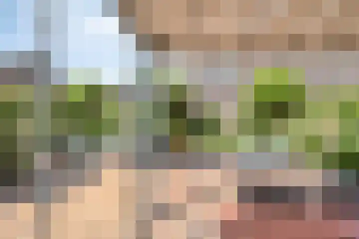 Spoeleind 14 Best thumbnail 46