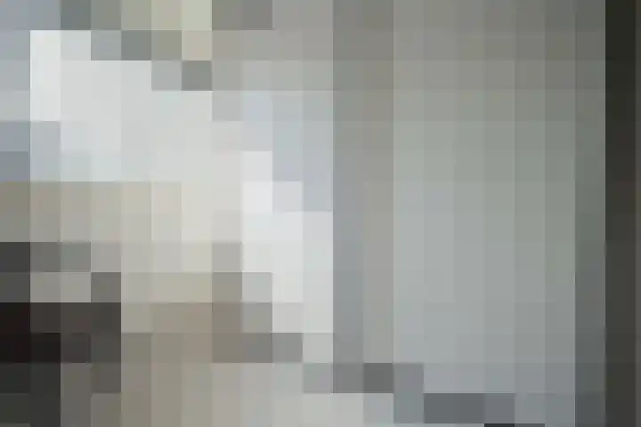 Spoellaan 17 Heemskerk thumbnail 14