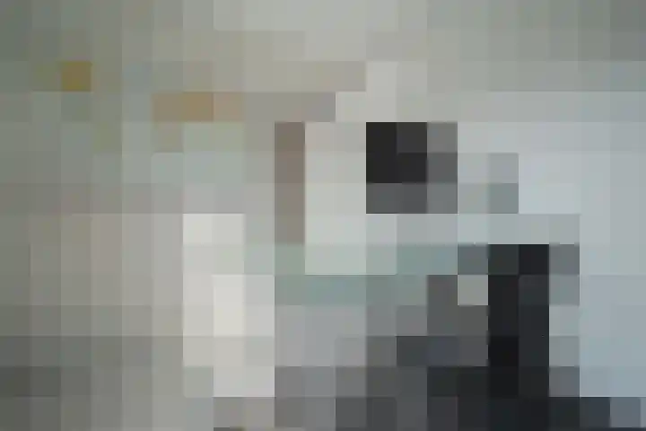 Spoellaan 17 Heemskerk thumbnail 15