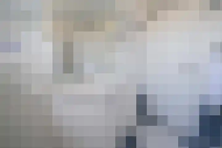 Spoellaan 17 Heemskerk thumbnail 19