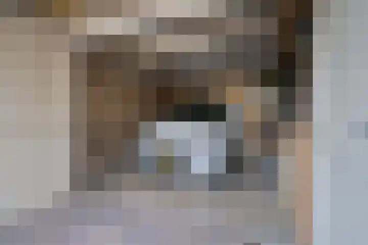 Spoellaan 17 Heemskerk thumbnail 28