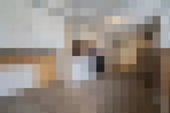 Spoellaan 17 Heemskerk thumbnail 30