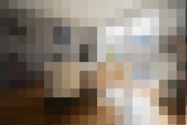 Spoellaan 17 Heemskerk thumbnail 6