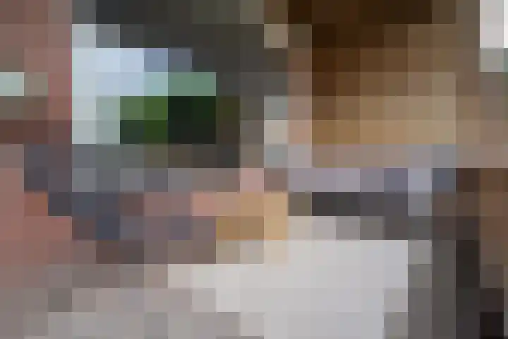 Spoellaan 56 Heemskerk thumbnail 36