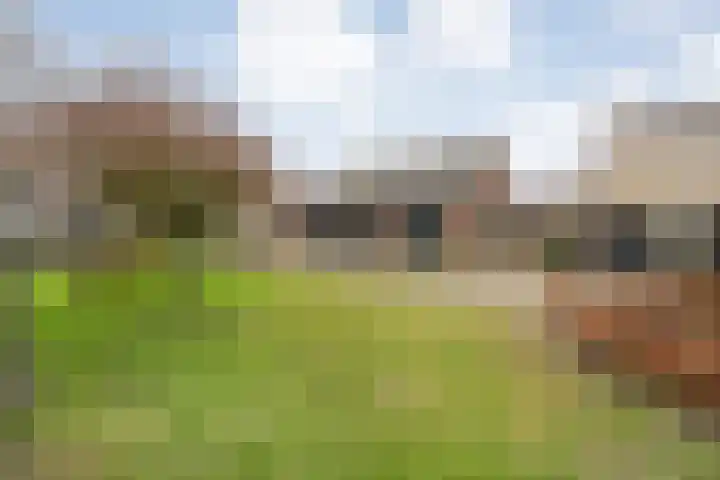 Sponturfwijk 28 Balkbrug thumbnail 38