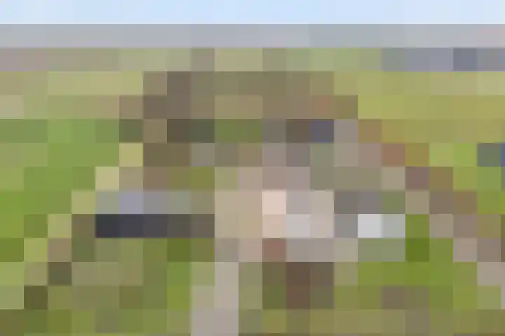 Sponturfwijk 28 Balkbrug thumbnail 4