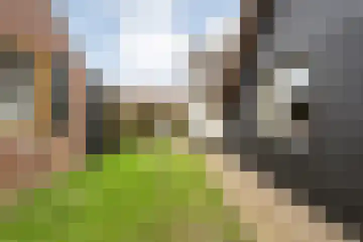 Sponturfwijk 28 Balkbrug thumbnail 40