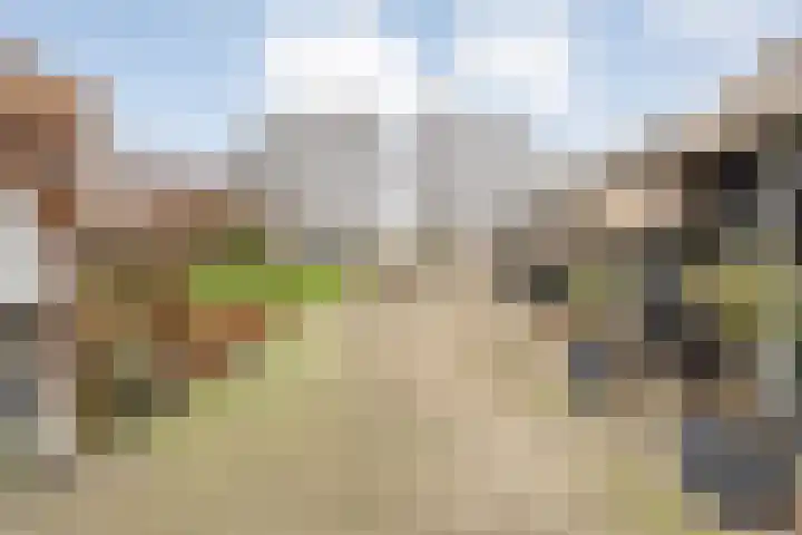 Sponturfwijk 28 Balkbrug thumbnail 44
