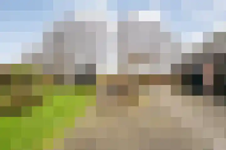 Sponturfwijk 28 Balkbrug thumbnail 56