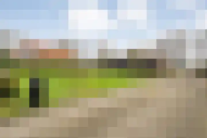 Sponturfwijk 28 Balkbrug thumbnail 57
