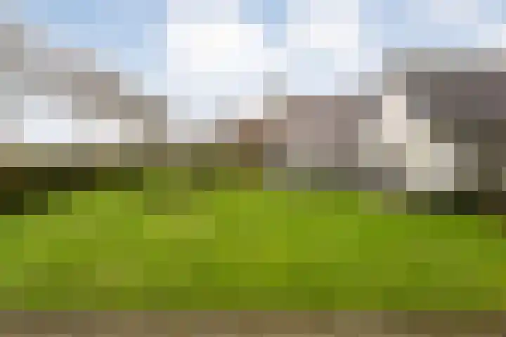 Sponturfwijk 28 Balkbrug thumbnail 6