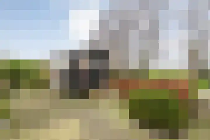 Sponturfwijk 28 Balkbrug thumbnail 60
