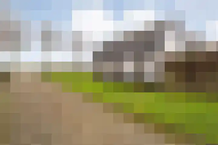 Sponturfwijk 28 Balkbrug thumbnail 7
