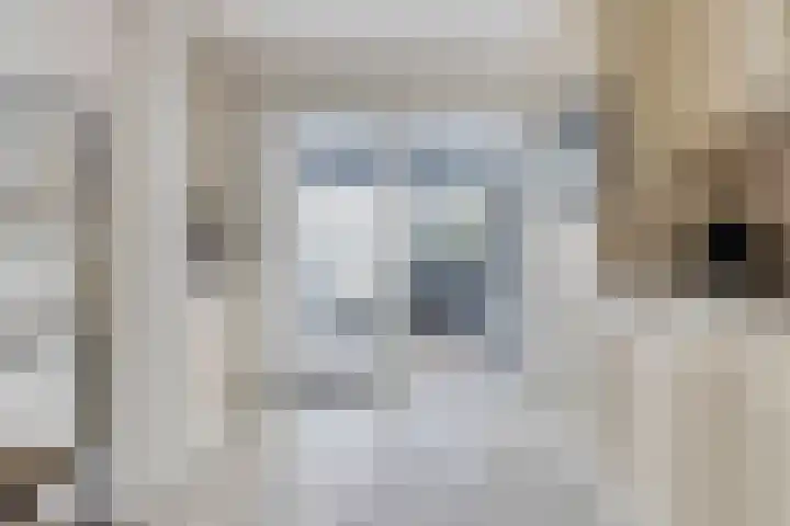 Spoorbaan 66 Goirle thumbnail 11