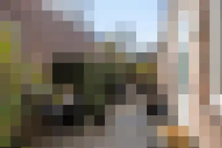 Spoordijk 38 Tilburg thumbnail 9