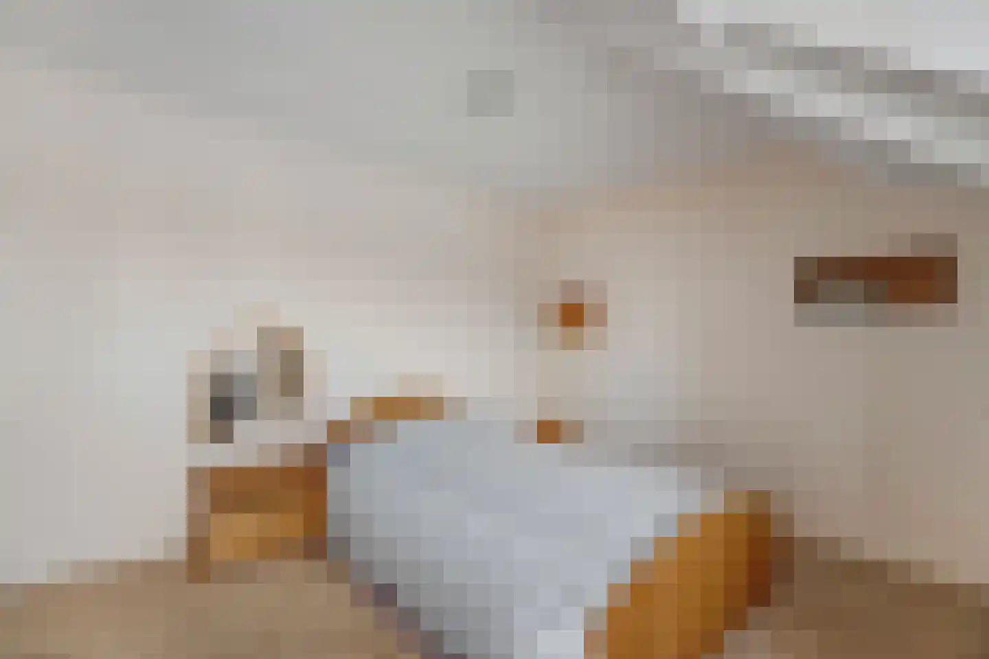 Spoorkade 8 I Kampen thumbnail 24