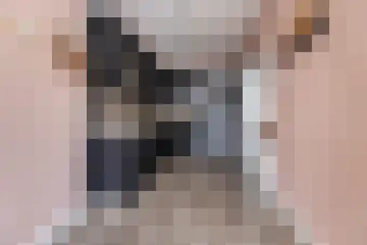 Spoorlaan 17 Wezep thumbnail 14