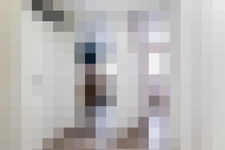 Spoorlaan 17 Wezep thumbnail 22
