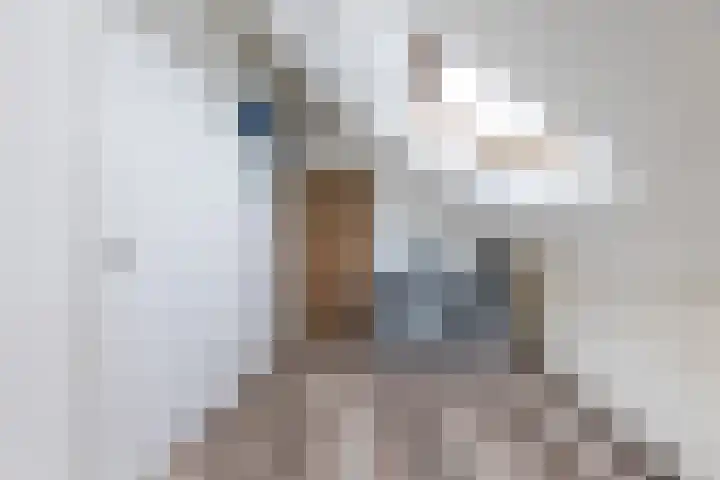 Spoorlaan 17 Wezep thumbnail 27