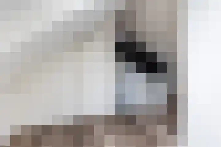 Spoorlaan 17 Wezep thumbnail 29