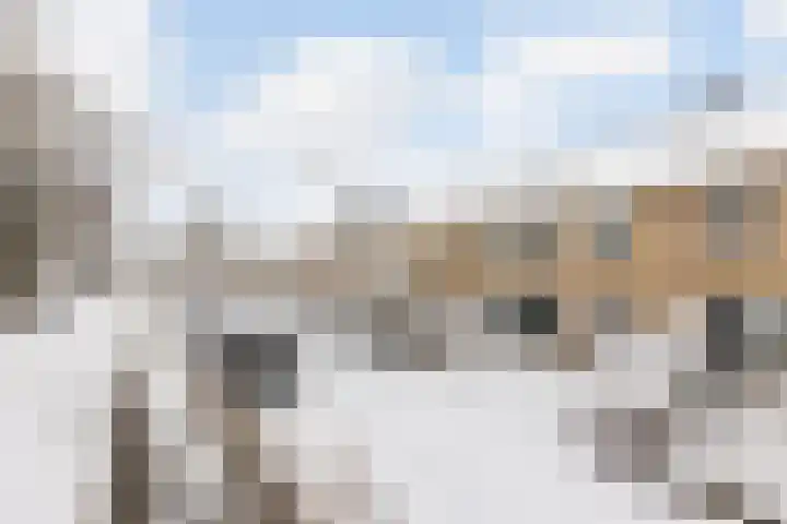 Spoorlaan 17 Wezep thumbnail 34