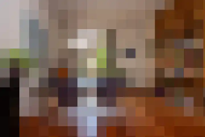 Spoorlaan 68 Tilburg thumbnail 18