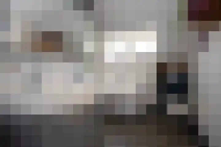 Spoorlaan 68 Tilburg thumbnail 25