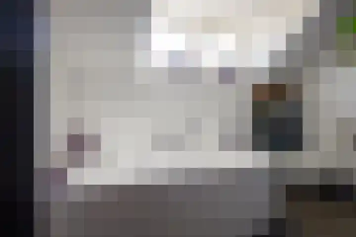 Spoorlaan 68 Tilburg thumbnail 27