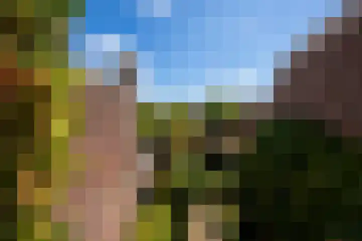 Spoorlaan 68 Tilburg thumbnail 31