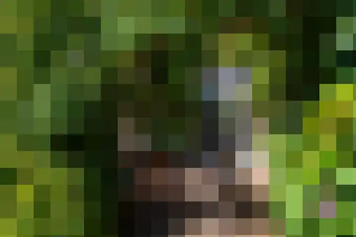 Spoorlaan 68 Tilburg thumbnail 45