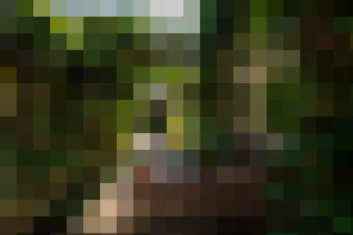 Spoorlaan 68 Tilburg thumbnail 46