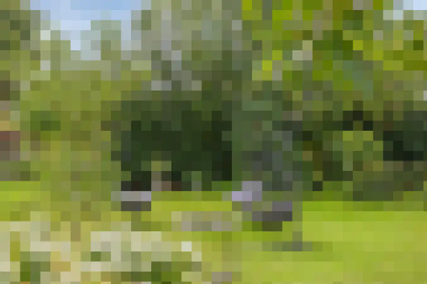 Spoorpad 8 Geffen thumbnail 32