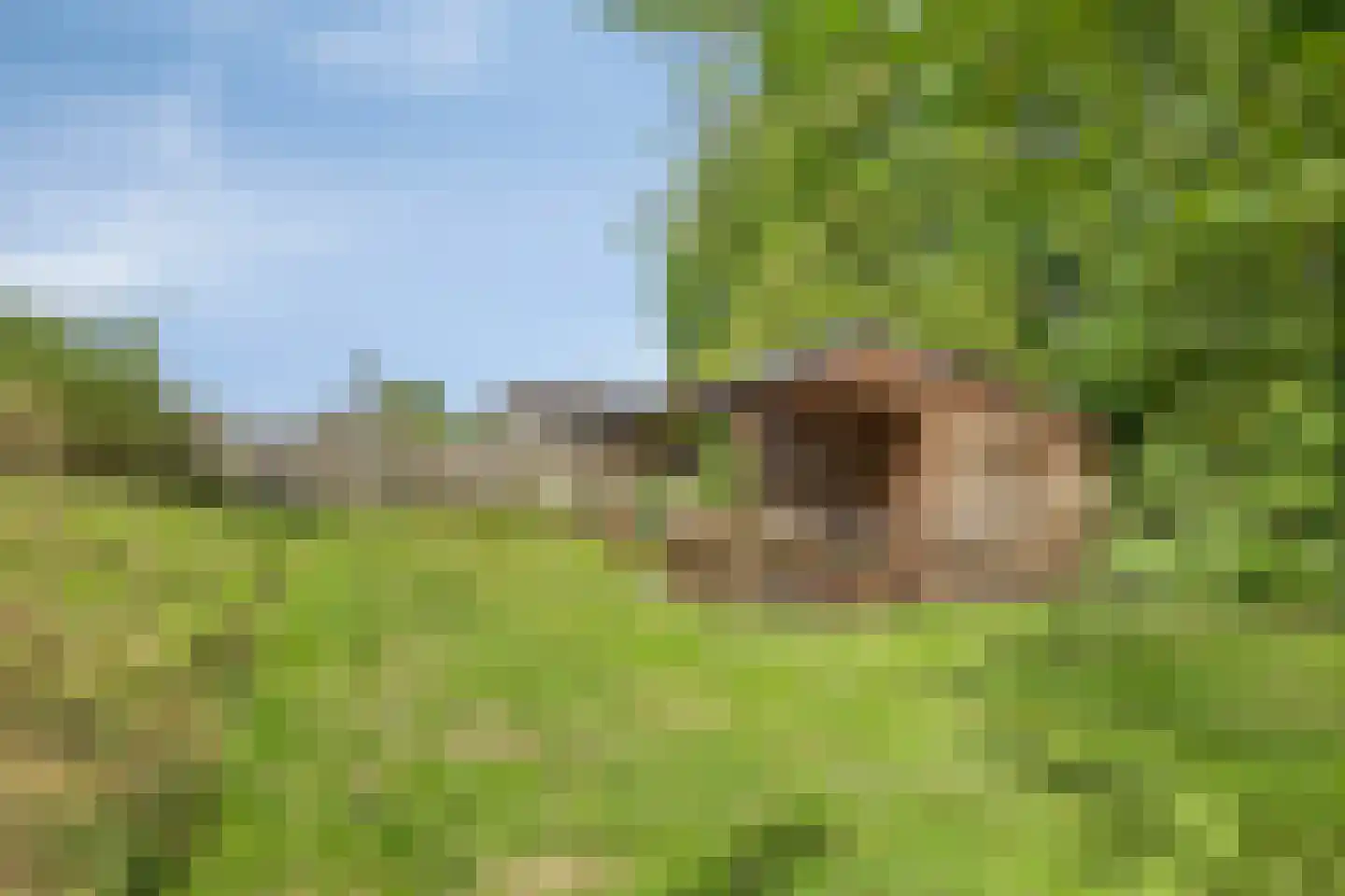 Spoorpad 8 Geffen thumbnail 34