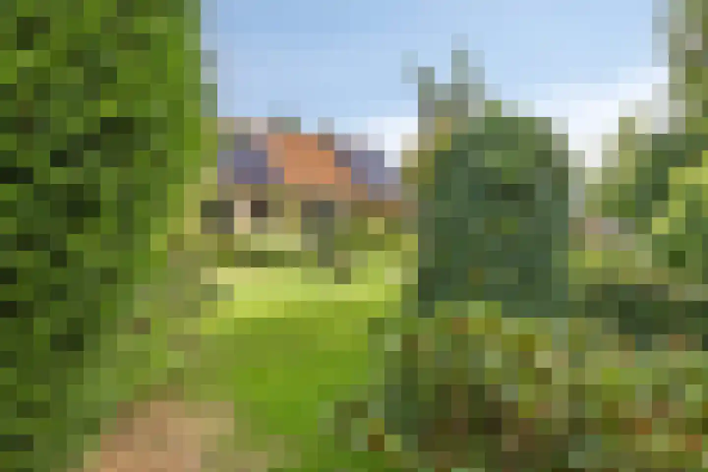 Spoorpad 8 Geffen thumbnail 36