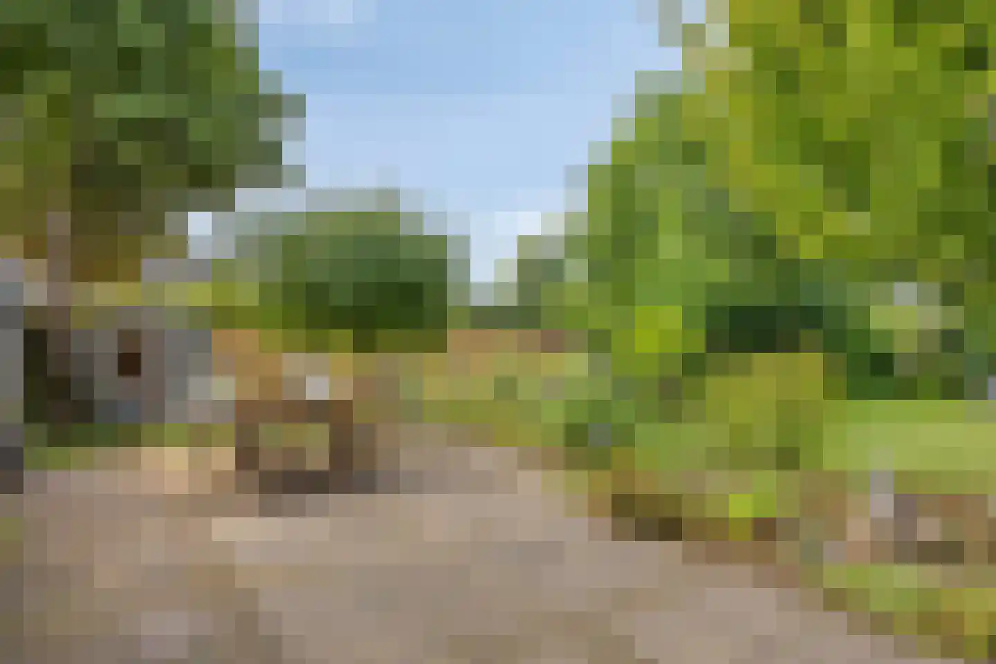 Spoorpad 8 Geffen thumbnail 37