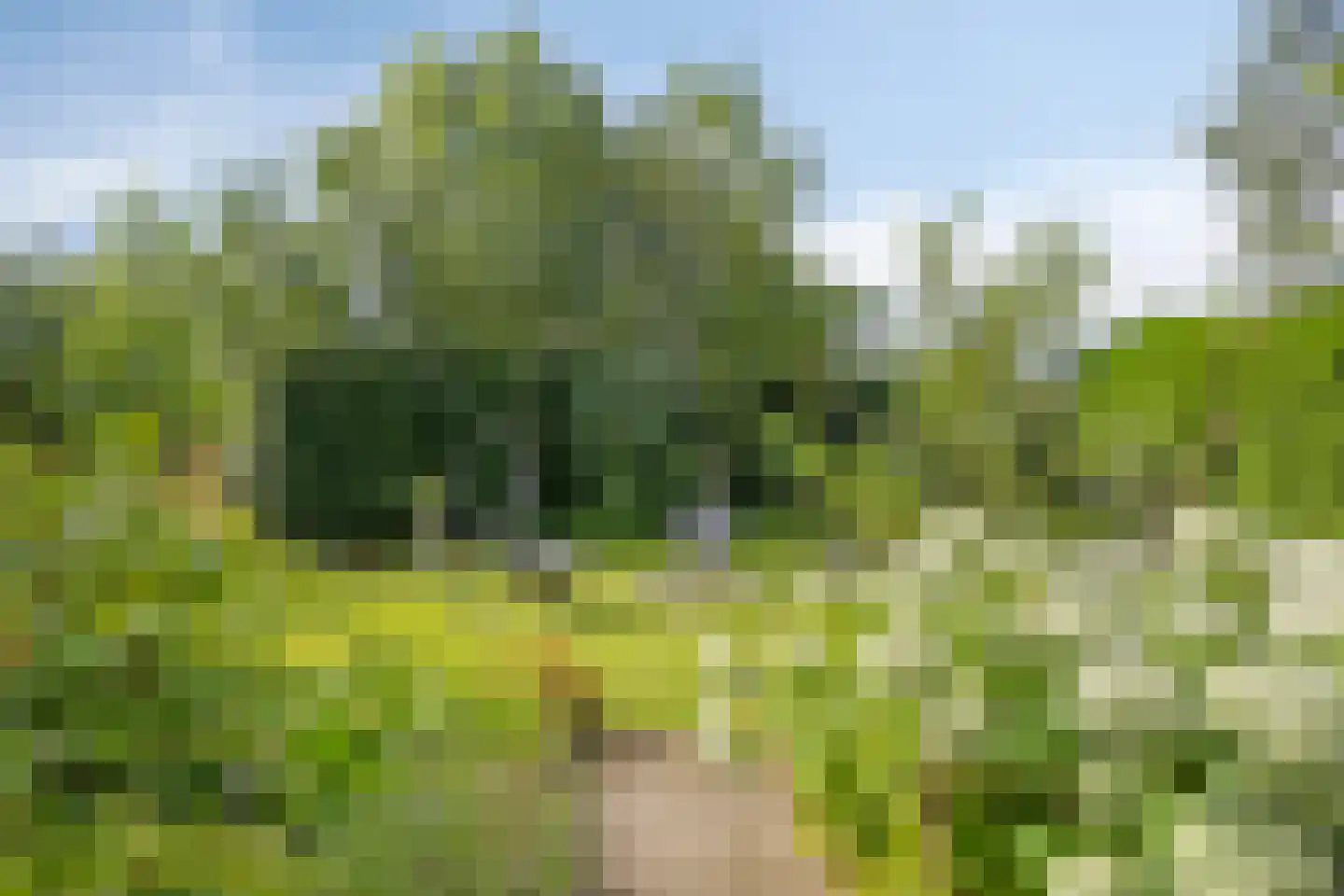 Spoorpad 8 Geffen thumbnail 40