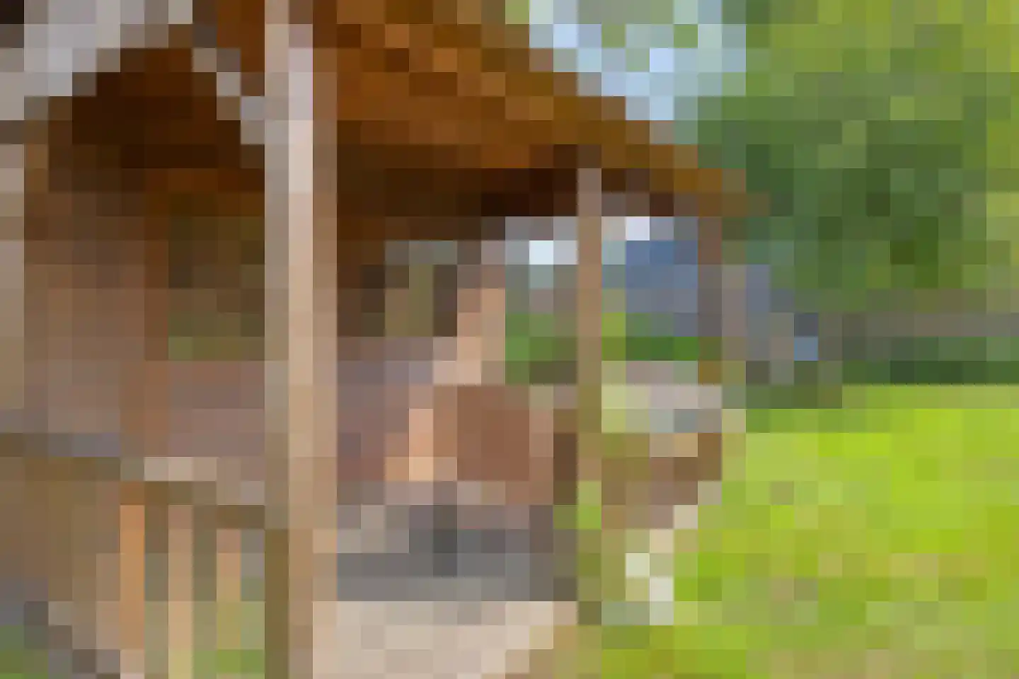 Spoorpad 8 Geffen thumbnail 42