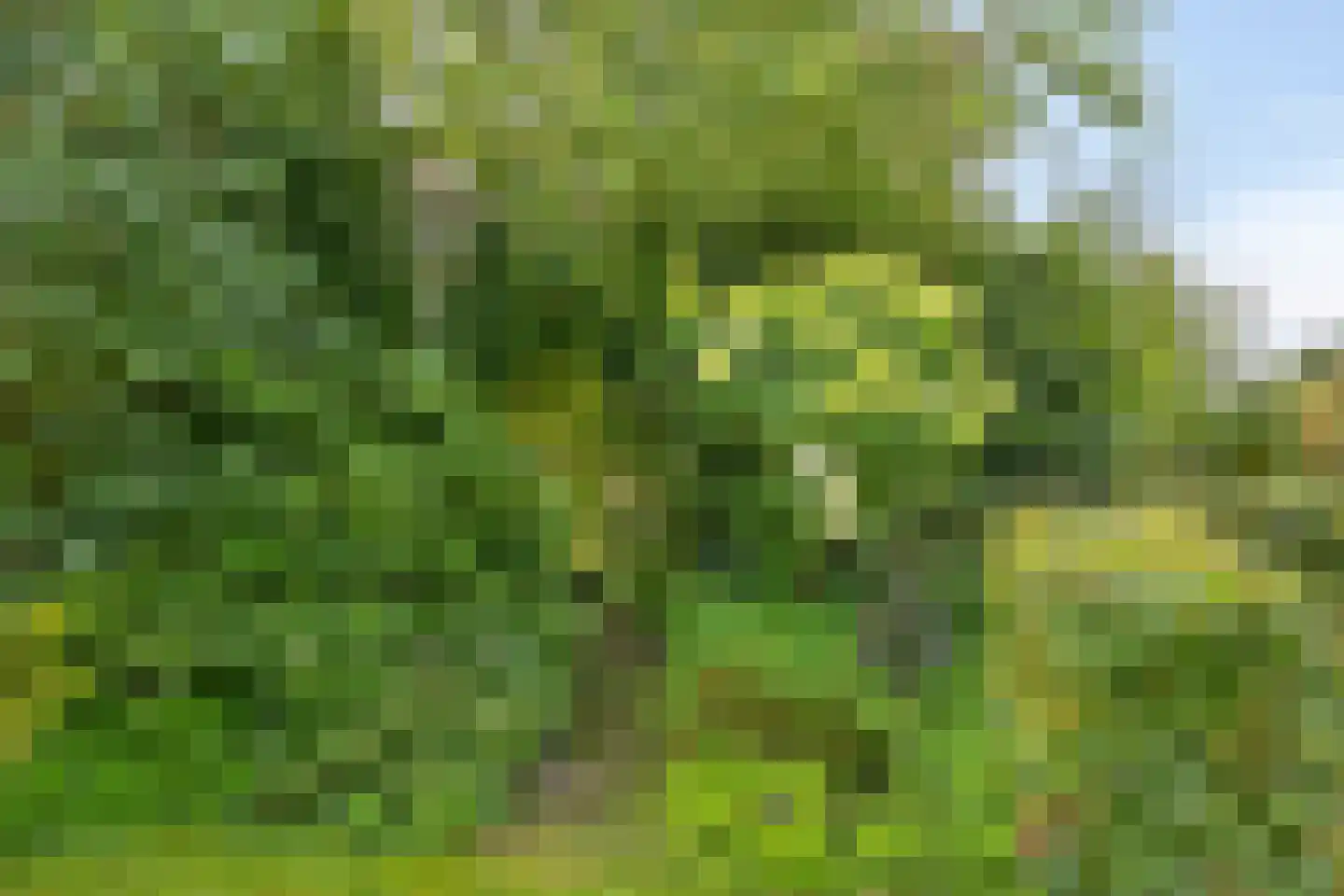 Spoorpad 8 Geffen thumbnail 43