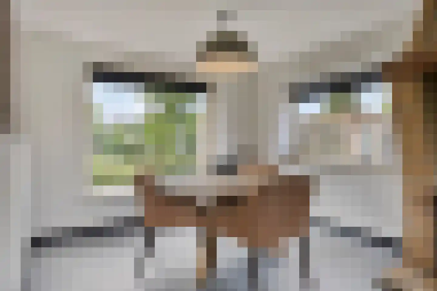 Spoorpad 8 Geffen thumbnail 7