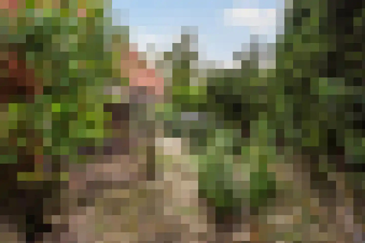 Spoorsingel 100 Delft thumbnail 46