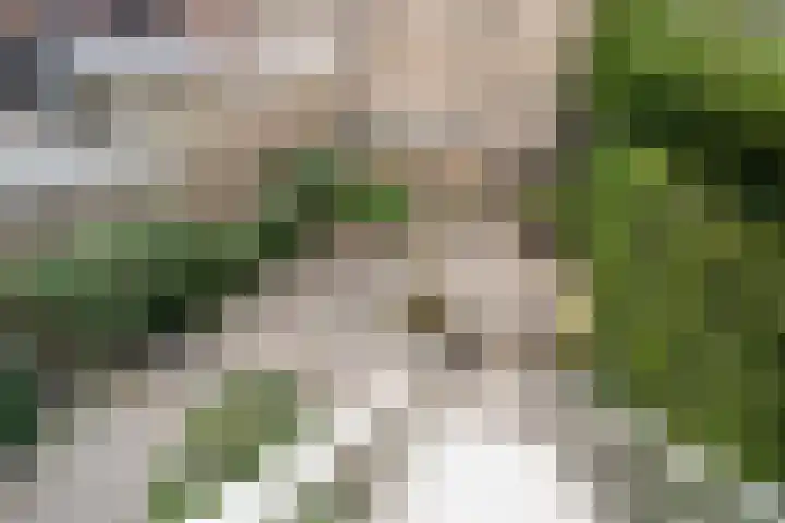 Spoorsingel 46 Delft thumbnail 24