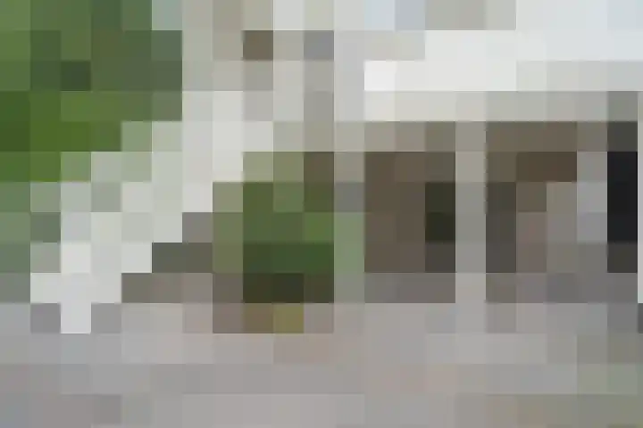 Spoorsingel 46 Delft thumbnail 28